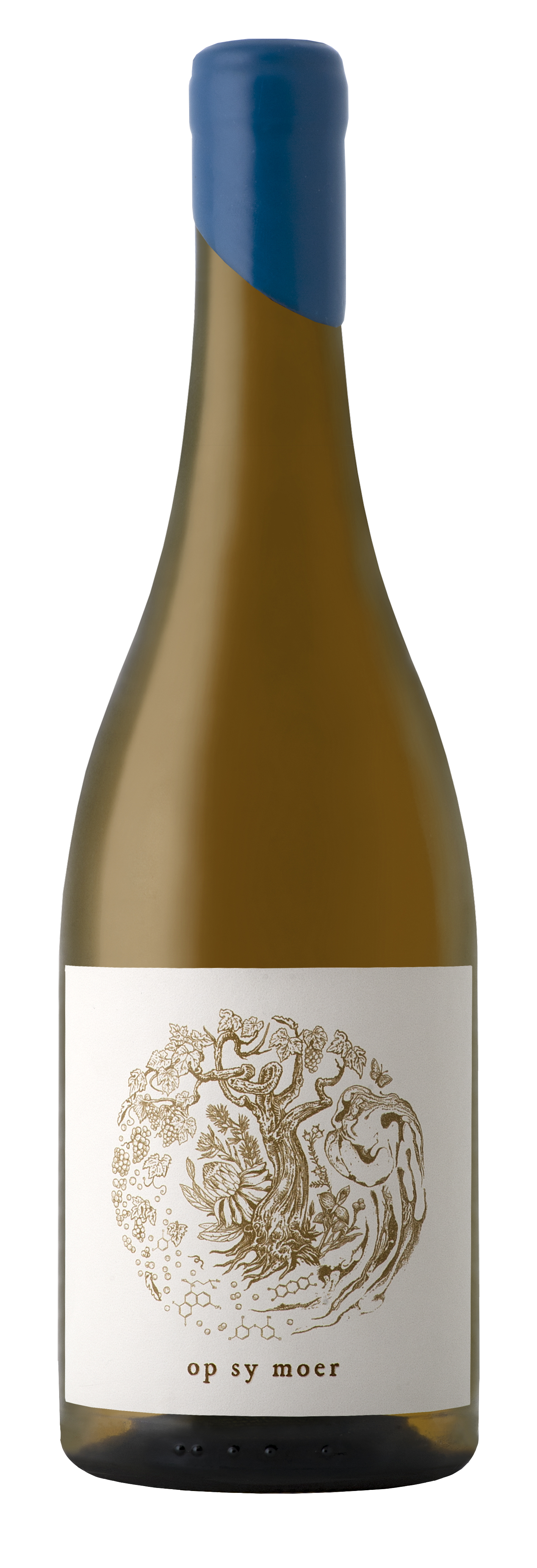 Op Sy Moer - Palomino/Chenin Blanc, sur-lie 2020 suché  